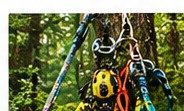 Arboriculture
